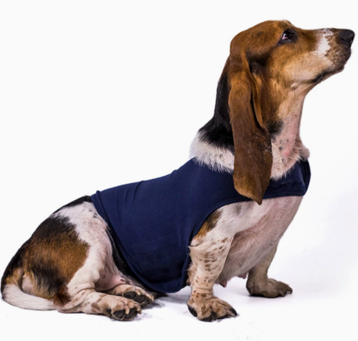 GrayWhisker Anxiety Relief Vest